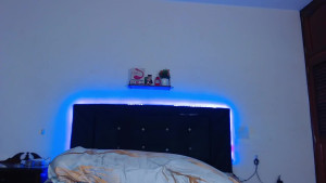 bella_n99