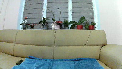 Watch have_funnn recorded live streams from CAM4 on 2025/02/11, Cam Archive