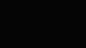 AlbaFerrettii