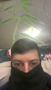 Pulvi
