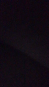 Apple_Lily