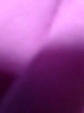 Watch sweety_tamil7708 recorded live streams from Stripchat on 2025/03/24, Cam Archive