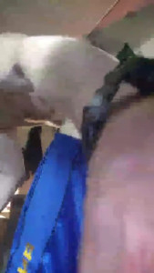 dandanger63