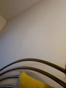 danydanyhot1
