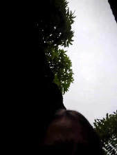 Watch scarleet_17 recorded live streams from Stripchat on 2025/06/05, Cam Archive
