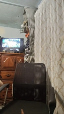 Watch Genevieve43 recorded live streams from CAM4 on 2025/06/05, Cam Archive