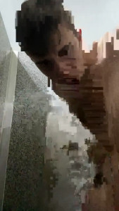 luccasamp