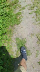 Minipic