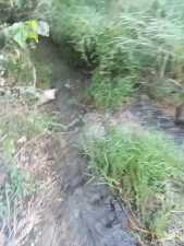 Watch XxScarleth recorded live streams from Stripchat on 2025/06/24, Cam Archive