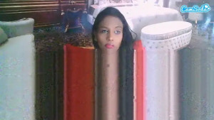 indianlovebug