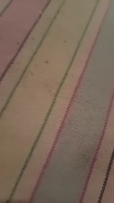 Watch Cassandra64 recorded live streams from CAM4 on 2025/06/24, Cam Archive
