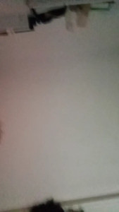 Fanii_94