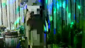 afroditaESP