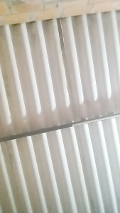 andreiita23_fun